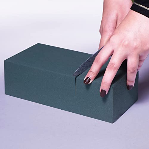 FLOFARE Dry and Wet Large Floral Foam Blocks for Fresh and Artificial Flowers, for Wedding, Birthdays, Home, Office, and G...