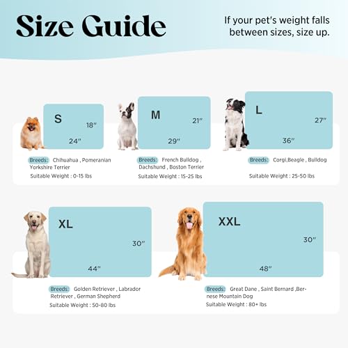 LE SURE Dog Cooling Mat for Small Dogs - QMAX>0.5 Breathable Thin Cool Crate Pad for Cat with Chill Fiber and Innovative M...
