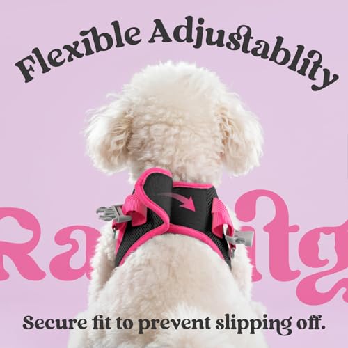 rabbitgoo Dog Harness Small Sized and Leash Set, Step-in Breathable Pet Harness, Soft Walking Reflective Puppy Vest for Sm...