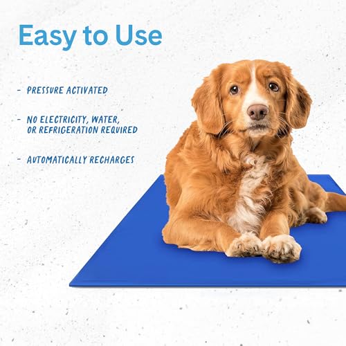 The Green Pet Shop Chillz Gel Mat, Medium - Pressure-Activated Cooling Pad for Pets 0-25 lbs - Non-Toxic, No Water or Refr...