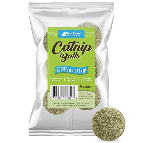 Raw Paws Catnip Balls for Cats, (6-Count) - Interactive Cat Toy for Indoor Cats - Cat Nip Licking Balls