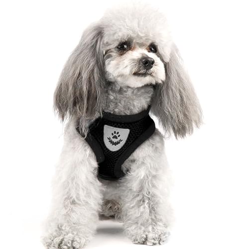 shudyear Summer cat Chest Harness and Leash, Anti-Escape Adjustable Soft mesh cat Leash and Chest Harness Set for All Type...