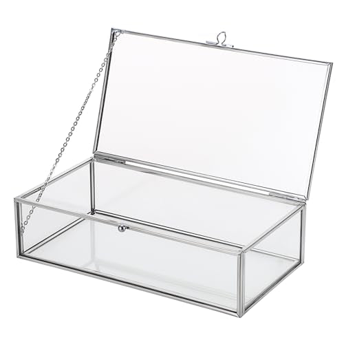 Hipiwe Glass Keepsake Display and Jewelry Organizer With Lid - Silver Decorative Clear Rectangle Storage for Trinket Perfu...