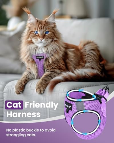 FAYOGOO Cat Harness, Cat Leash and Harness Set for Walking Escape Proof, Harness for Small Cats/Small Dogs, Large Kitten/P...