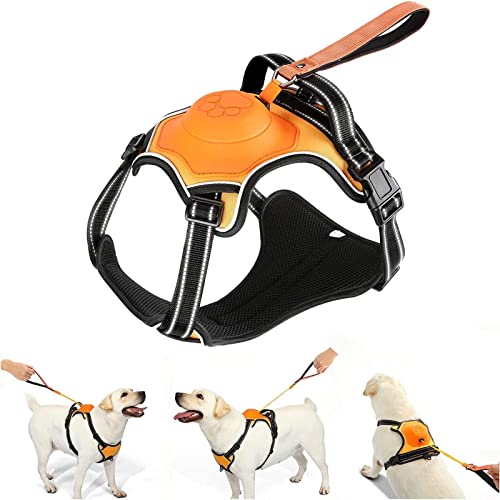 2-in-1 No Pull Dog Harness & Retractable Leash - Large Dog Harness with Auto-Lock, Reflective & Adjustable-XL