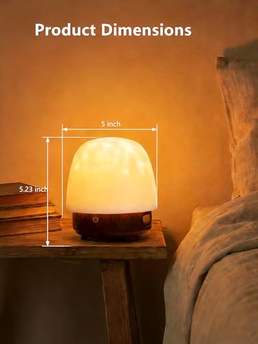 Spa-Like Shower Lamp, Bluetooth Speaker Waterproof Lamp, Rechargeable Lumena Lamp with Remote & Touch Control, 16 Colors O...