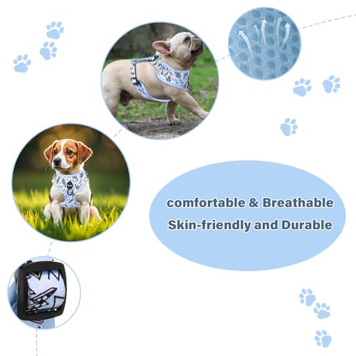 Petmolico Dog Harness and Leash Set Soft Mesh Small Dog Harnesses Vest No Pull Dog Vest Puppy Harness and Leash Set Traini...
