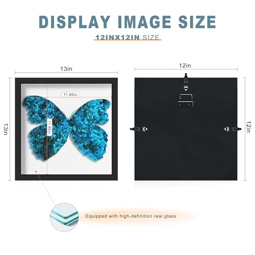 Picrit Shadow Box Frame 12x12, Display Case Box with High Definition Real Glass and Black Back for Memorabilia, Baby Item...