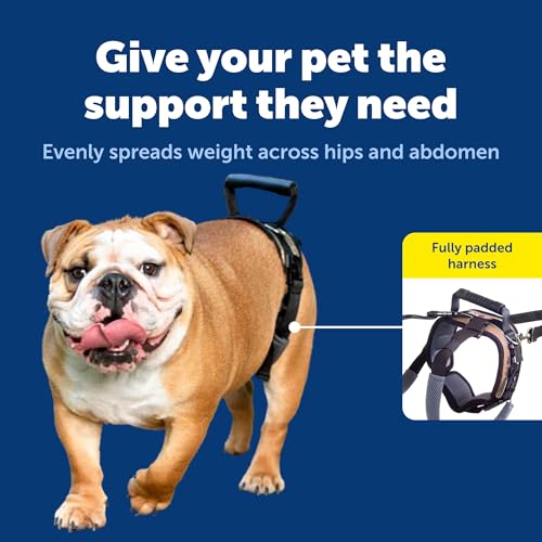 PetSafe Adjustable Dog Lifting Harness - Senior & Disabled Dog Rear Mobility Support - Easy-Fitting, Breathable Belly Stra...
