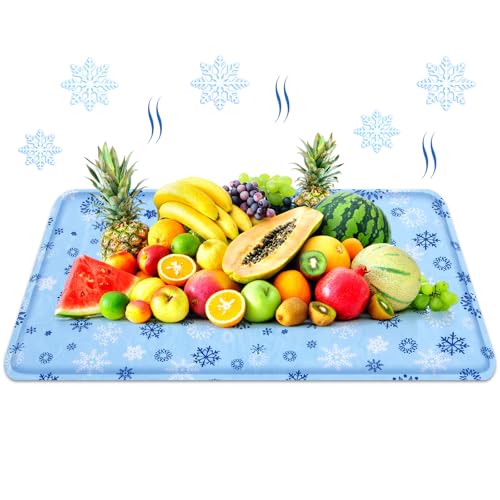 Reallnaive 24 x 35 Inches Extra Large Reusable Freezable Ice Mat for Buffet 1 Pc Chilled Serving Tray Cooling Charcuterie ...