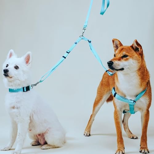 Blueberry Pet Essentials Durable Classic Double Dog Leash Coupler, Royal Blue, Small, Dual Walking & Training Leashes for ...