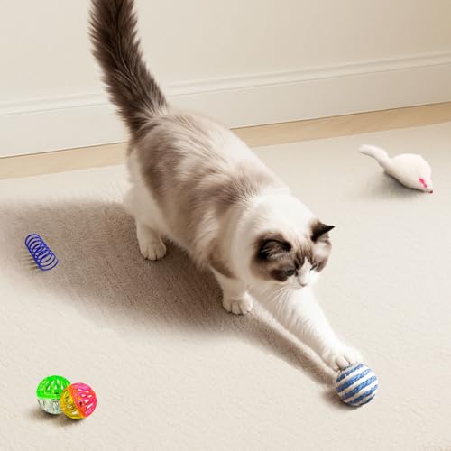 YULOYI Cat Toys for Indoor Cats, 34 Packs Interactive Cat Toy Set with Colorful Springs Toys, Mouse Toy, Catnip Ropes, Bal...