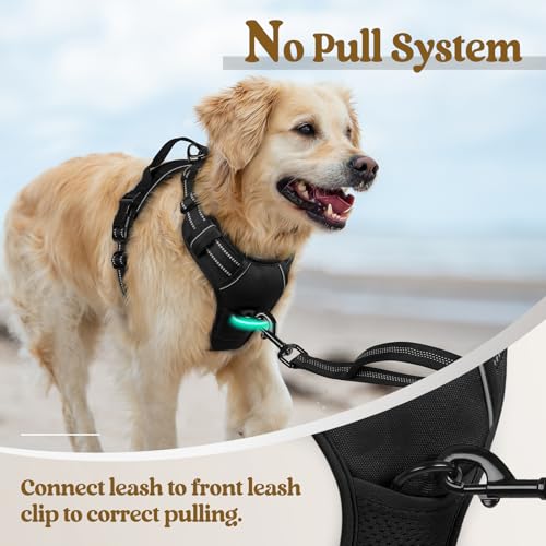 rabbitgoo Dog Harness No Pull with 2 Leash Clips, Adjustable Soft Padded, Reflective Oxford No Choke Pet Vest with Easy Co...