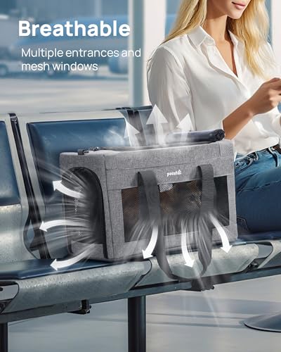 Airline Approved Cat Carrier, Pet Carrier Soft-Sided, Portable Dog Carrier with Stable Structure, TSA Approved Pet Carrier...