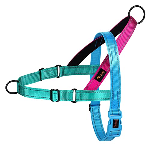 Didog No Pull Dog Harness with Soft Padded Handle, Quick Fit & Lightweight Adjustable Vest Harness, Easy for Training Walk...