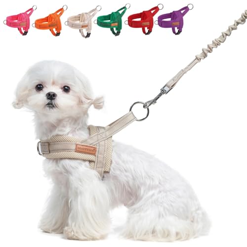 BEAUTYZOO Dog Harness for Small Dogs, No Pull Dog Harness and Leash Set, Soft Escape Proof Puppy Vest Harness with Handle,...