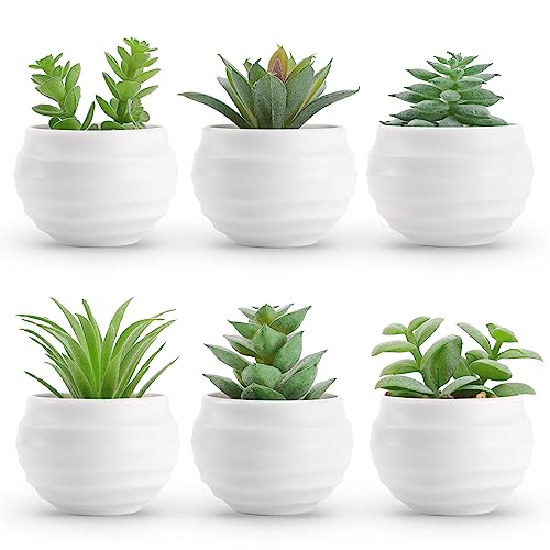 Der Rose Set of 6 Succulents Plants Artificial in Pots Small Fake Plants for Bedroom Aesthetic Living Room Shelf Bathroom ...