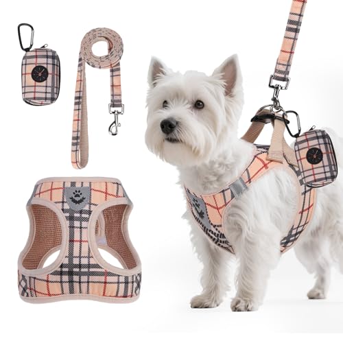 PAWCHIE Dog Harness and Leash Set, Step in No Pull Soft Pet Harness, Reflective Adjustable Puppy Vest for Small Medium Dog...