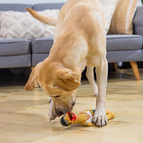 Outward Hound by Charming Pet Squawkers Earl Latex Squeaky Rubber Chicken Dog Toy, Funny Interactive Holiday Toy for Dogs,...
