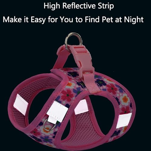 Small Dog Harness and Leash Set, Step in Dog Harness No Pull for Walking Running Training, Puppy Essentials for Dogs Cat B...