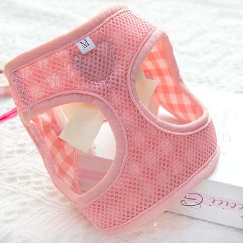 Dog Harness and Leash Set with Angle Wings,Pet Adjustable Mesh Vest Harness with Wings and Bow for Small Medium Dogs Cats_...
