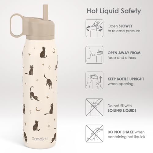 Cat Stainless Steel Water Bottle with Twist Lid 20oz, Travel Insulated Water Bottles for Sports & Gym, Gift for Women Girl...