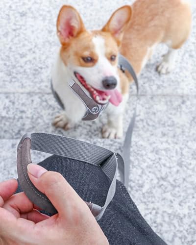 Puppy Harness and Leash Set,No Pull Adjustable Step in Soft Mesh Vest Harness,Easy Walk Reflective Pet Harness with Padded...