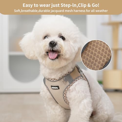 AIITLE Dog Harness and Leash Set - Ultra-Comfortable XXS-XL Vest with Strong Magic Tape & Glow-in-Dark Reflective Strips, ...