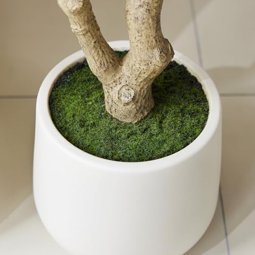 VeriNatural Artificial Olive Tree 6FT, Fake Plants Indoor - Potted Faux Olive Tree with Relistic Leaves and White Planter...