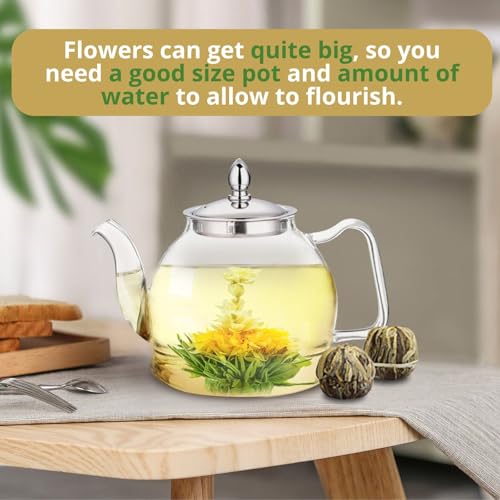 10 Assorted Blooming Flower Tea Balls Gift Set| Handmade Herbal Flowering Tea Balls Variety Individual Packing| Blooming G...
