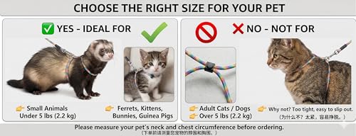 [3-Piece Set] Escape Proof Small Pet Harness and Leash - 10ft (3m) Retractable Lead & 2 Adjustable Rope Vests for Kittens,...