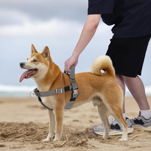 Annchwool Adjustable Dog Harness-Lightweight No Pull Dog Harness with Handle for Small & Medium and Large Dogs-Front Clip ...