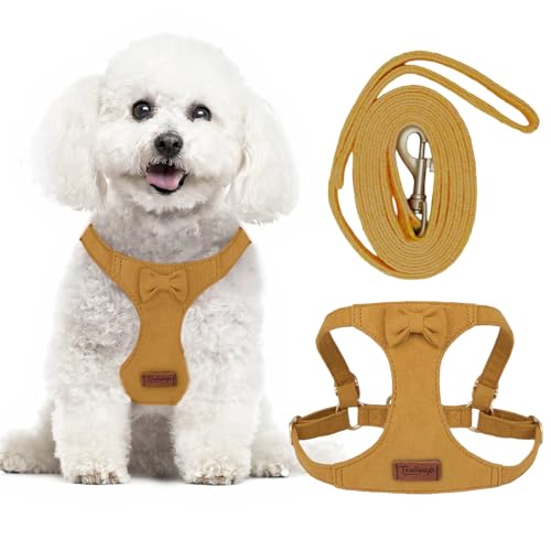 Tewiwap No Pull Small Dog Harness and Leash Set, Adjustable Puppy Harness for Extra Small XS XXS Girl Dogs, Soft Suede No ...