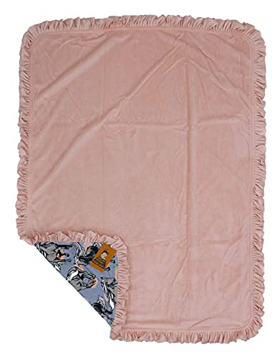 Dear Baby Gear - Reversible Baby Blankets - Soft Nursery Blanket for Newborn - Toddler Blankey - Throw Blanket for Boys & ...