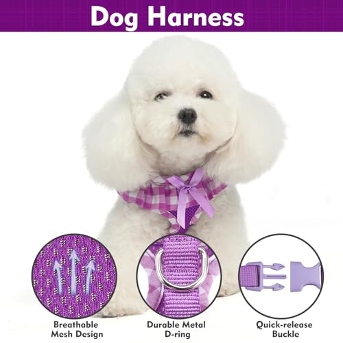EXPAWLORER Cute Dog Harness Collar Leash Set - Purple Girl Dog Harness Checkered Step-in Design, Detachable Bow Pet Colla...