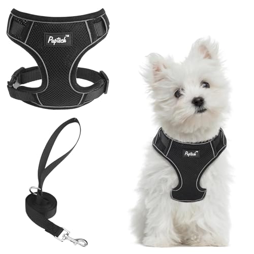 PUPTECK Small Dog Harness and Leash Set, No Pull Adjustable Puppy Cat Harness, Reflective Soft Mesh Pet Vest Small Sized, ...