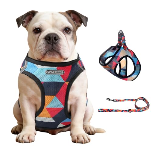 EVERKING Breathable Mesh No-Pull Dog Harness & Leash Set for Small Dogs, Reflective Trim for Safety – Comfortable Vest Des...