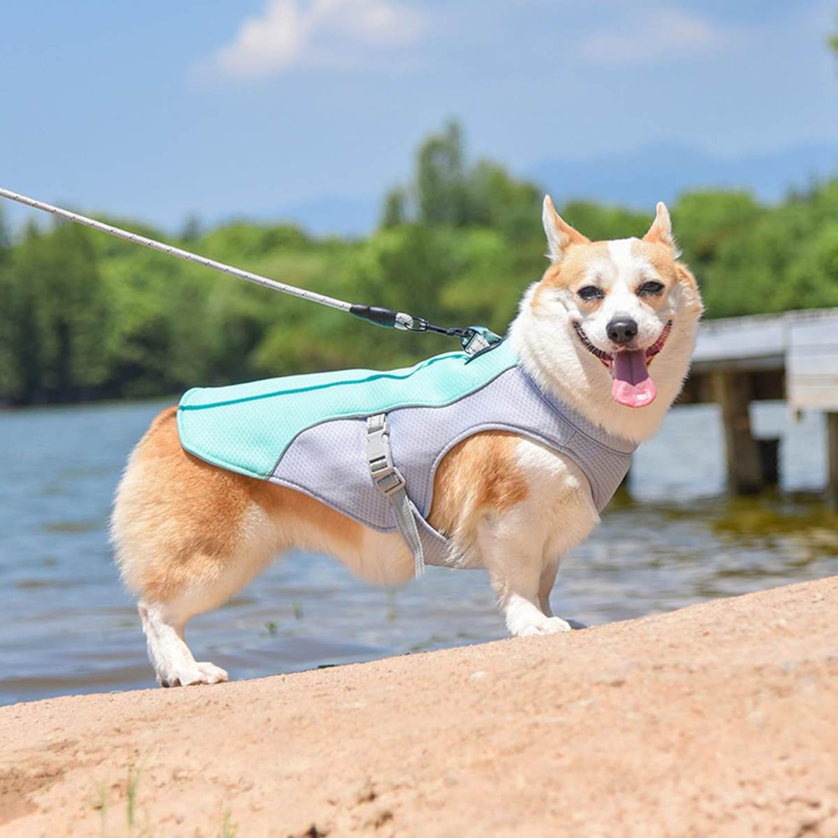 Pet Clothes Breathable Thin Clothes In Summer
