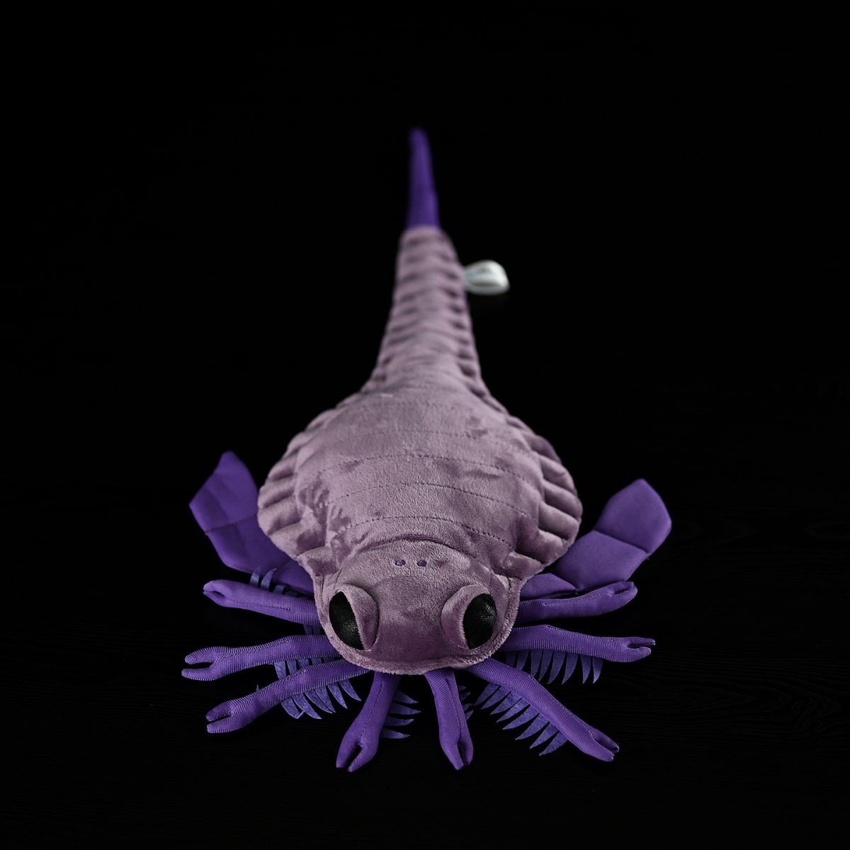 Original Paleontology Series Doll Plush Toys
