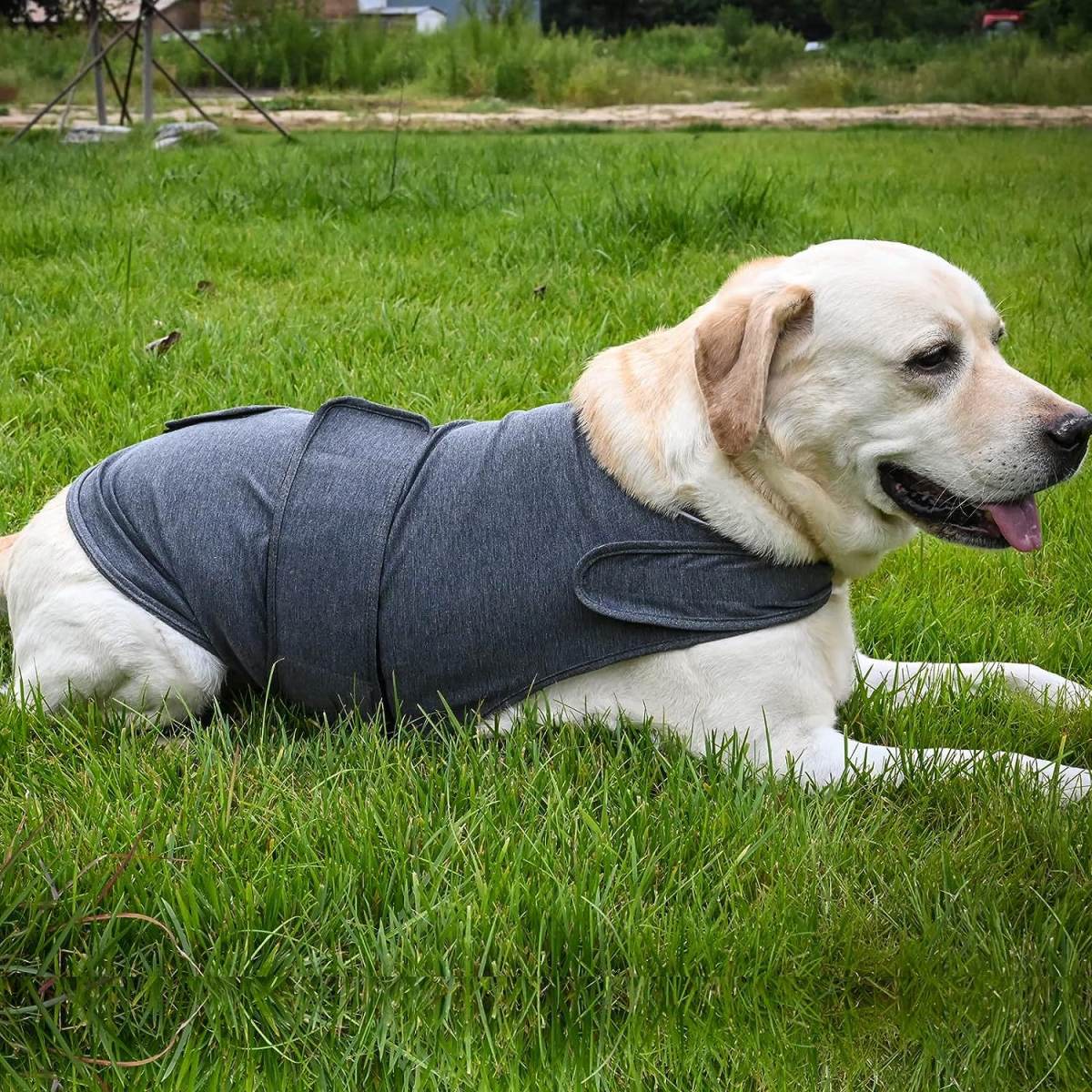 Pet Supplies Clothing Dog Acrylic