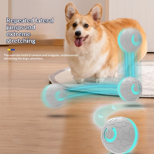 Smart Bouncing Ball Electric Charging Cat And Dog Toy Pet Dog Toy Ball