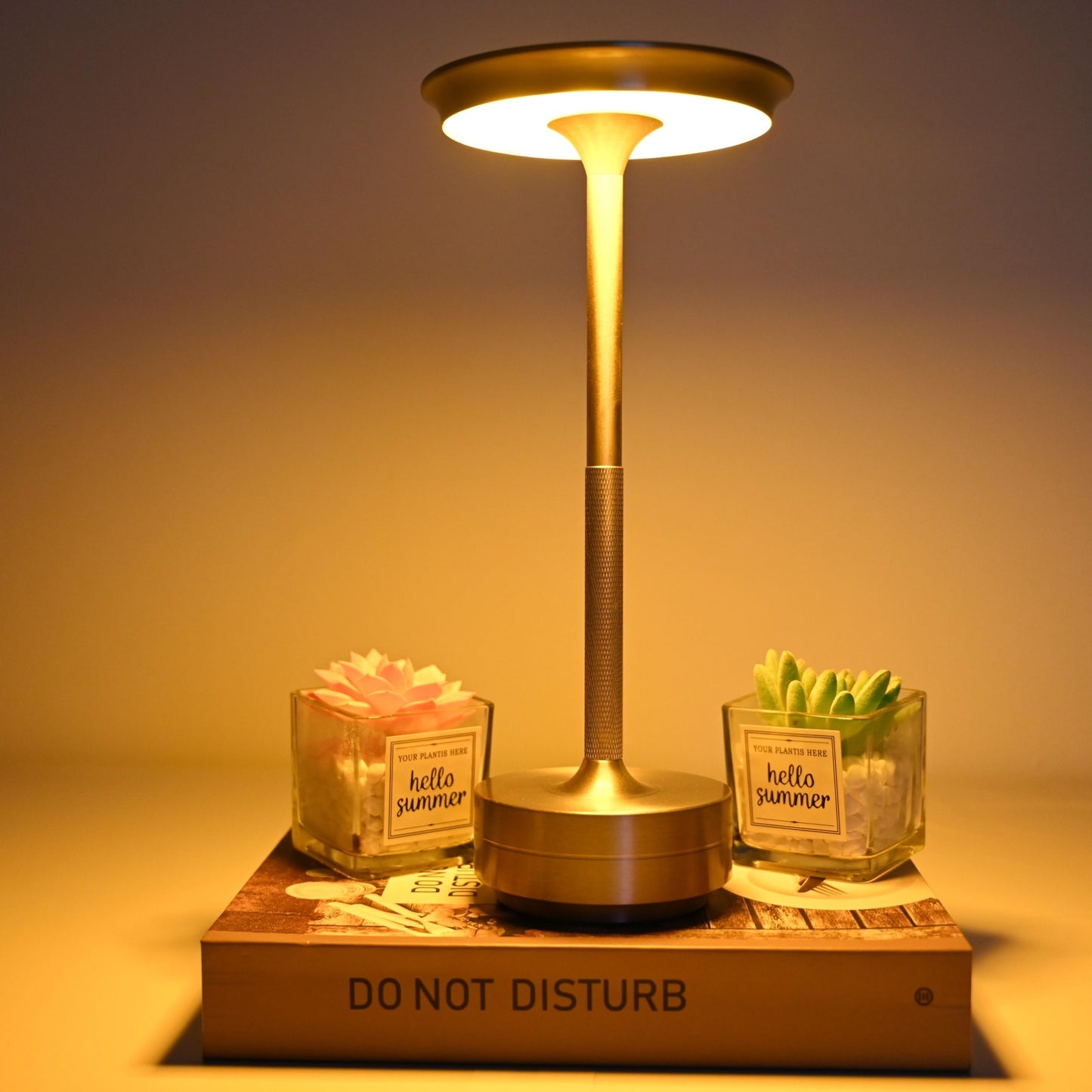 Stepless Dimming Aluminum LED Cordless Desk Lamp