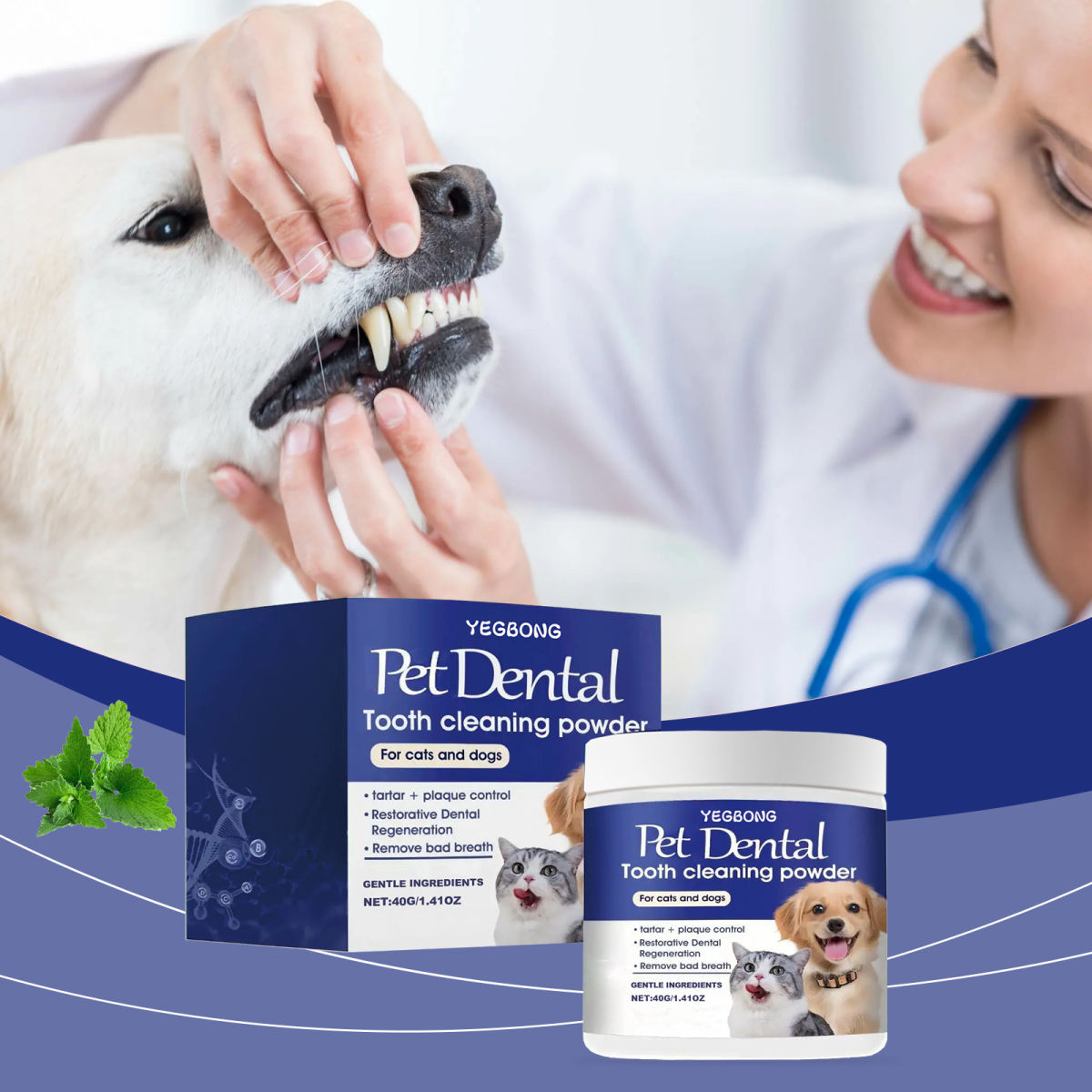 Pet Teeth Cleaning And Stain Removal
