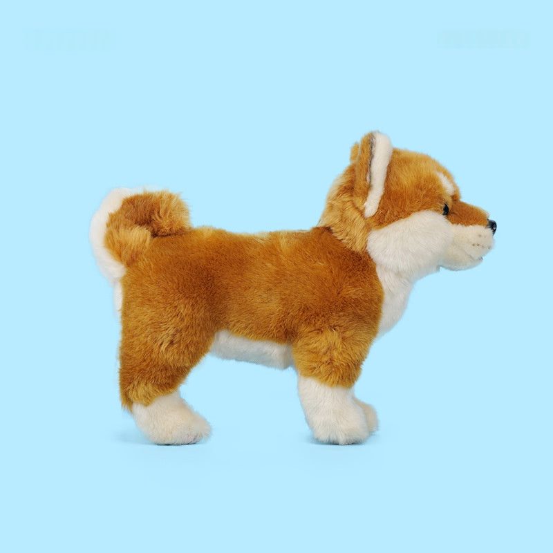 New Childrens Birthday Gift A Cute Akita Dog