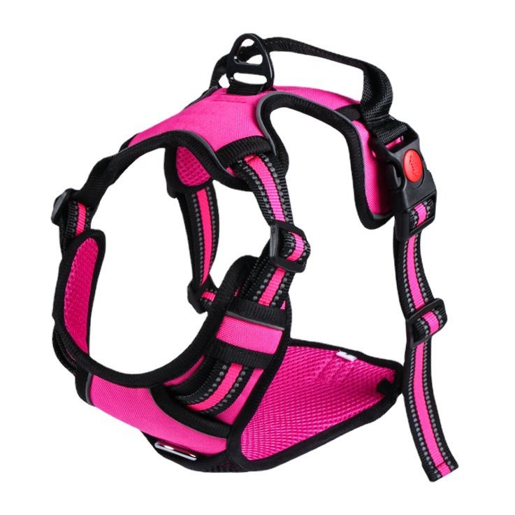 Explosion-Proof Pet Leash With Reflective Harness