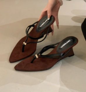 OKLEIBO Korean Style Pointed Toe Thong Sandals, 2026 New Wedge Heel Women's Flip Flops, Stylish Outdoor Vacation Fairy Shoes