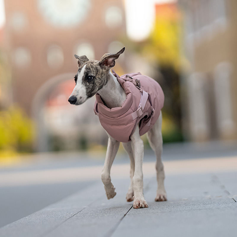 Powder Pet Winter Clothing Warm Thick Windproof Dog Clothes