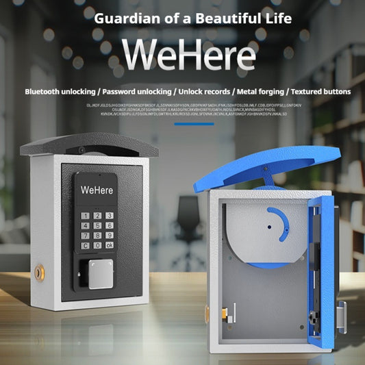 Smart Key Delivery Box Wall