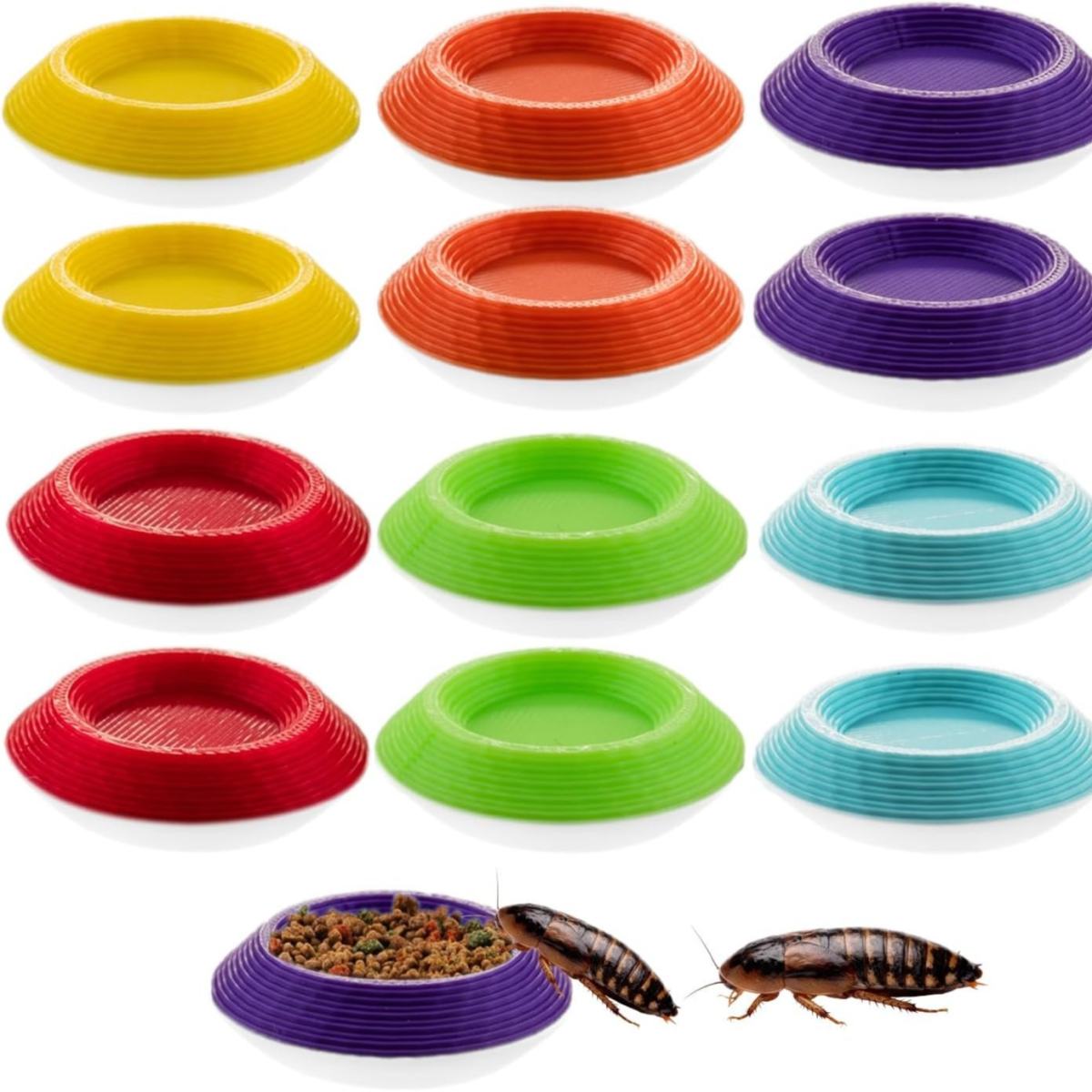 Mini Feeding Dishes For 12 Dubia Roach Food Bowls