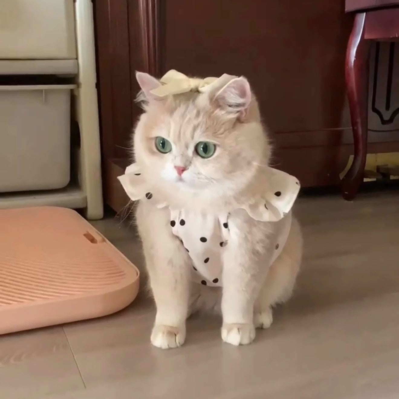 Pet Thin Breathable Sun-protective Dress